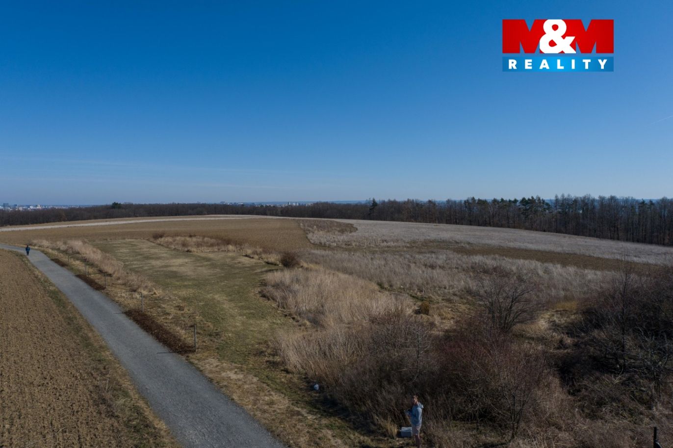 DJI_0130.jpg