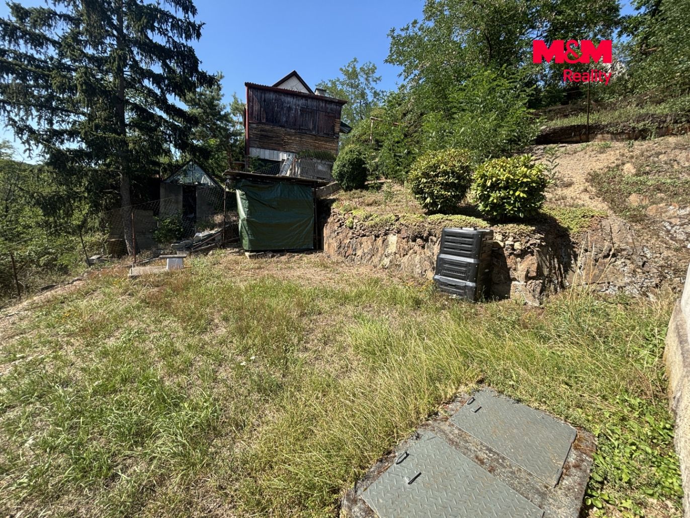 IMG_7128.jpeg