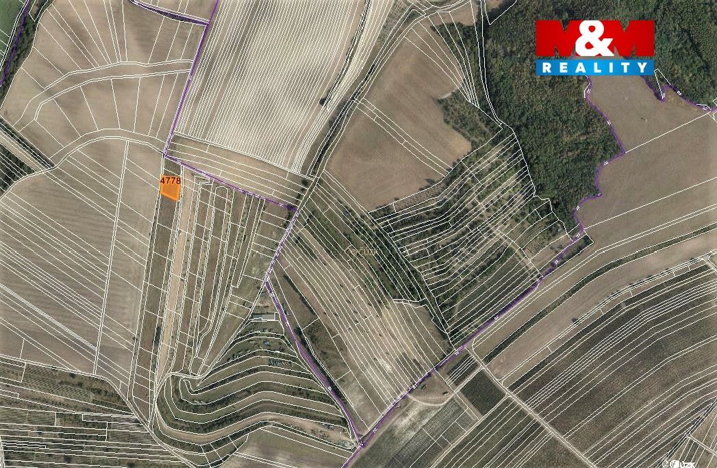 mapka