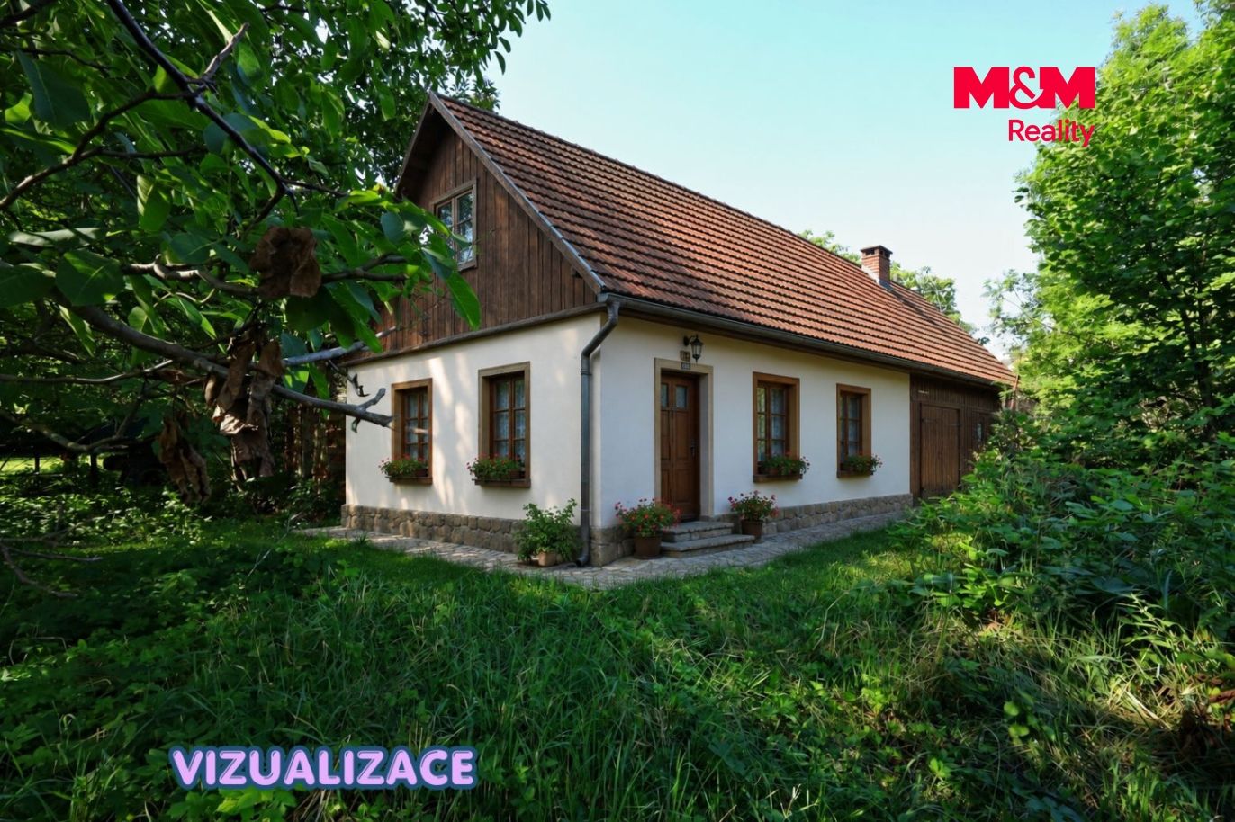 dům