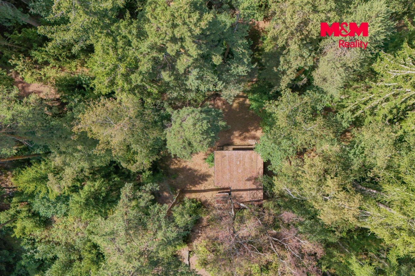 DJI_20260824134142_0222_D.jpg