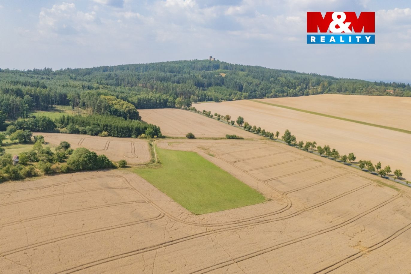 DJI_20250815135656_0037_D.jpg