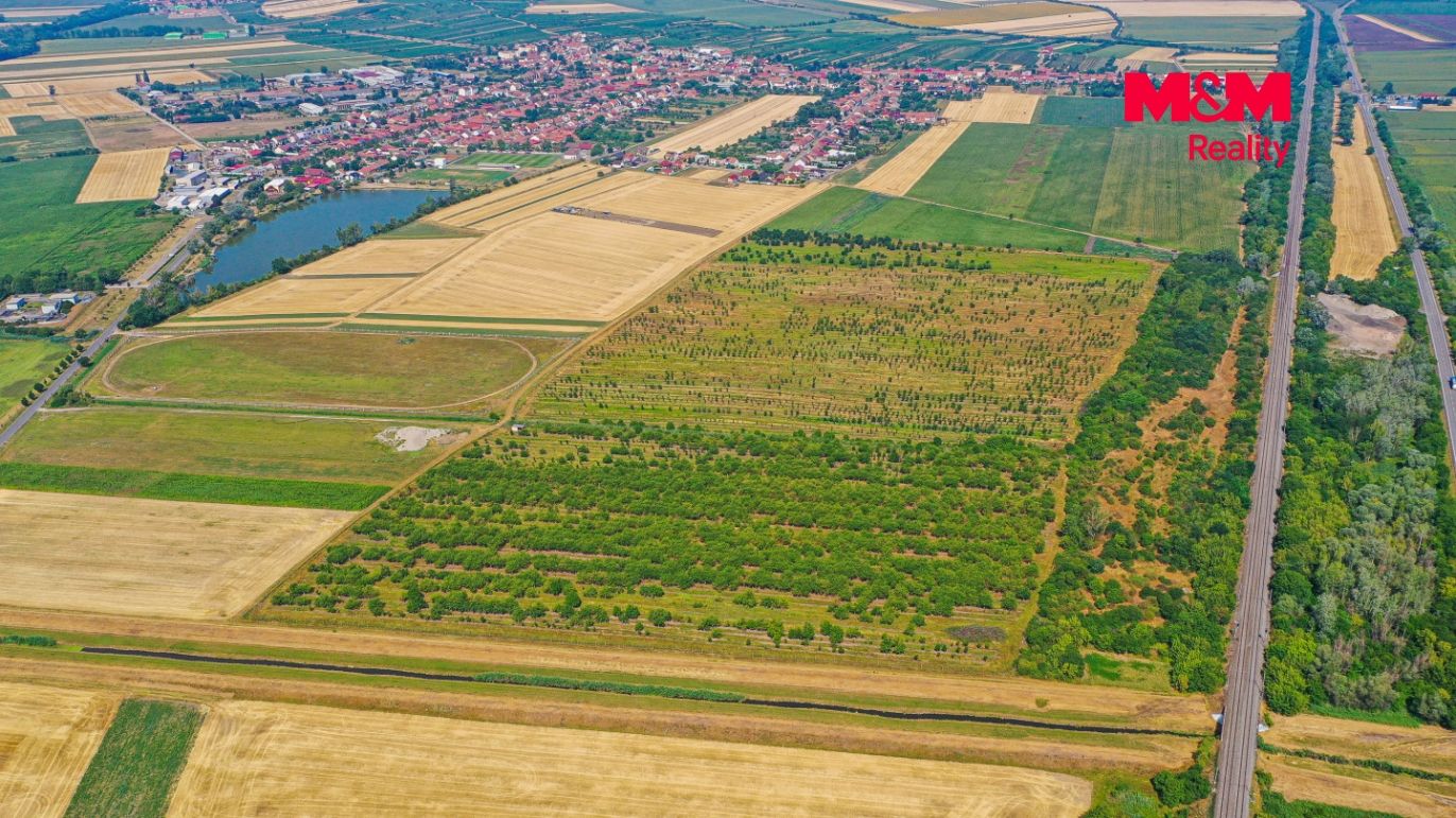 DJI_0919.jpg