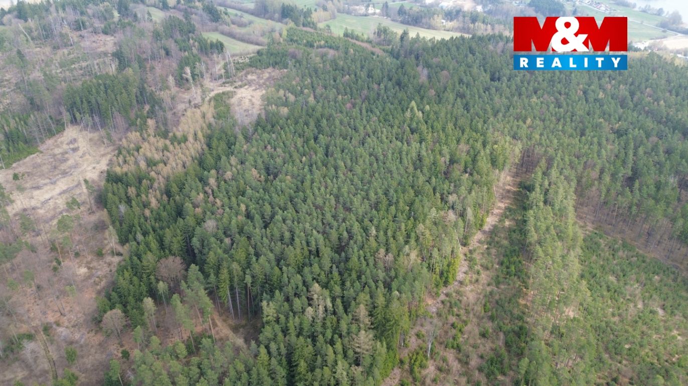 DJI_0404.jpg