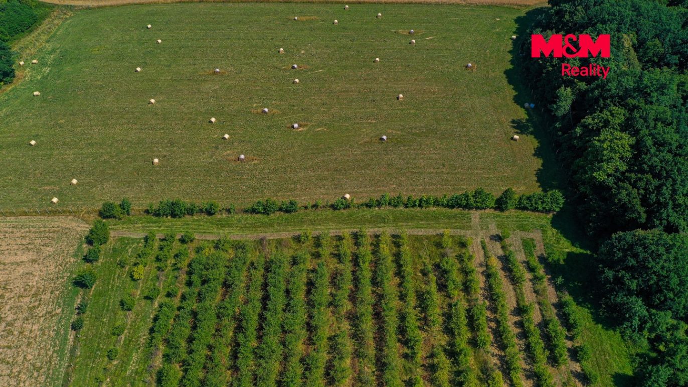 DJI_0826.jpg