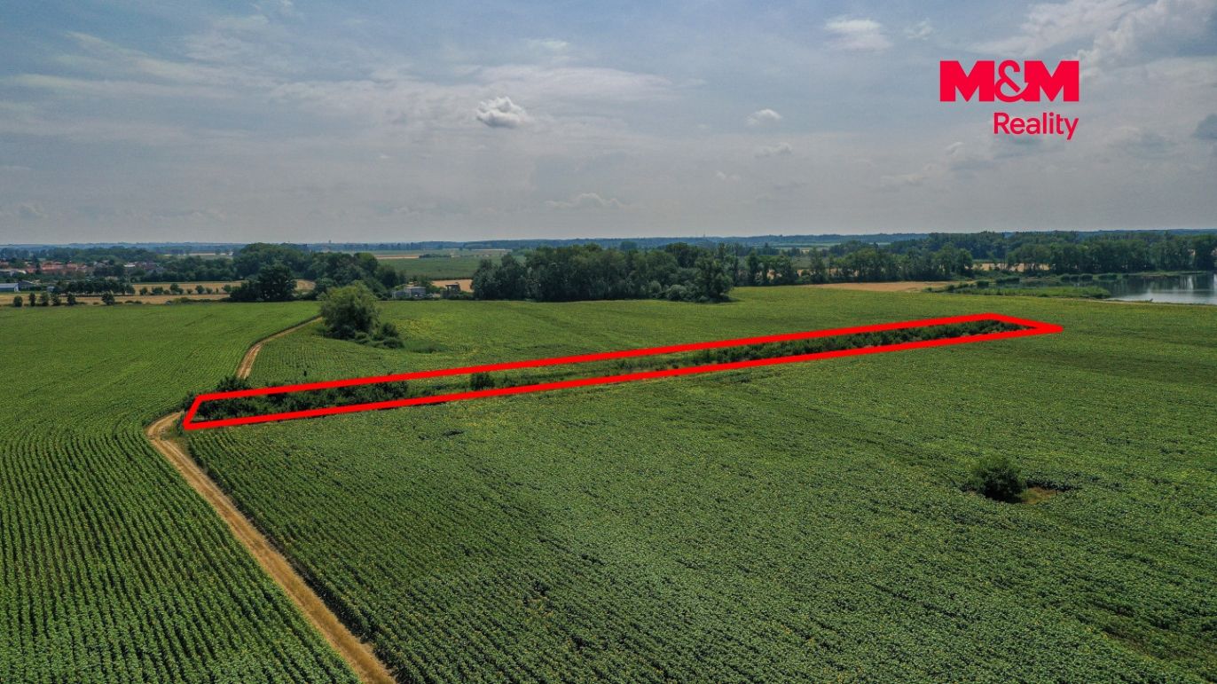 DJI_0938 kopie.jpg