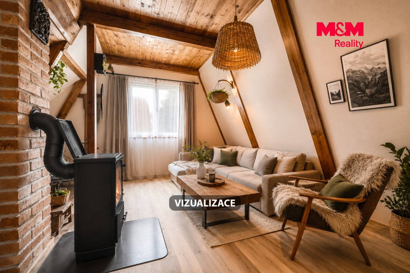 Vizualizace