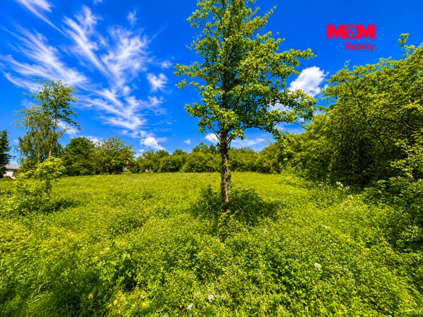 ChatGPT Image 2. 6. 2026 14_27_40.png