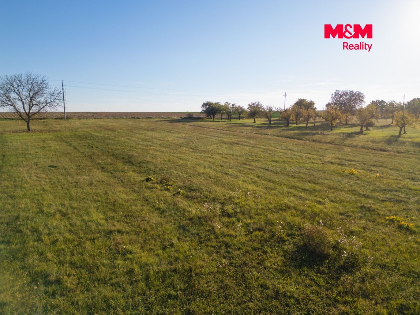 DJI_0520.jpg