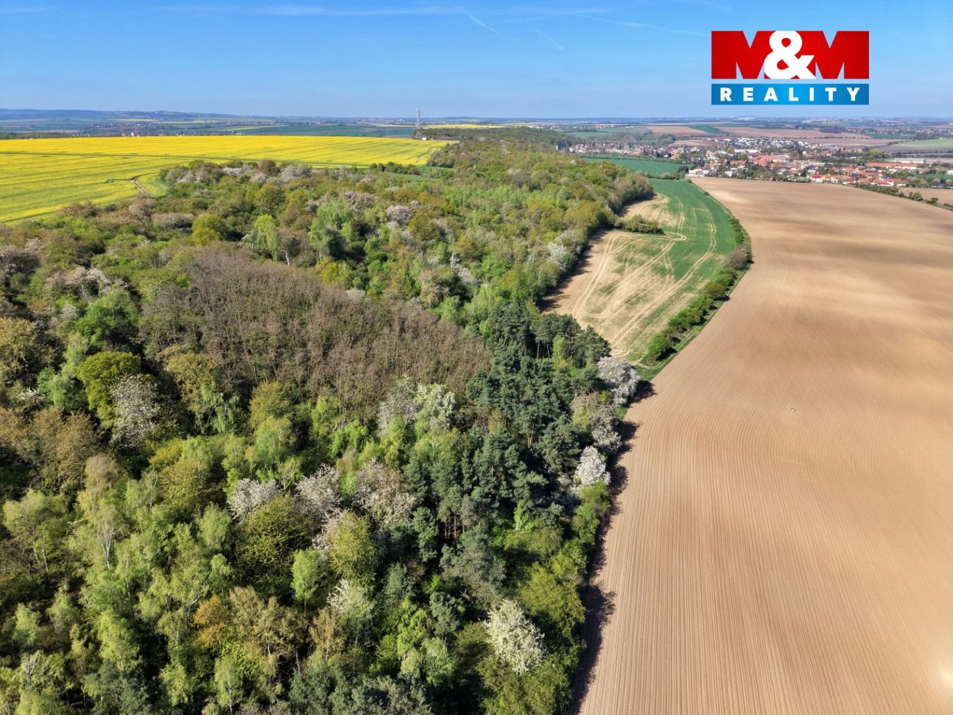 DJI_20260424095845_0022_D.jpg