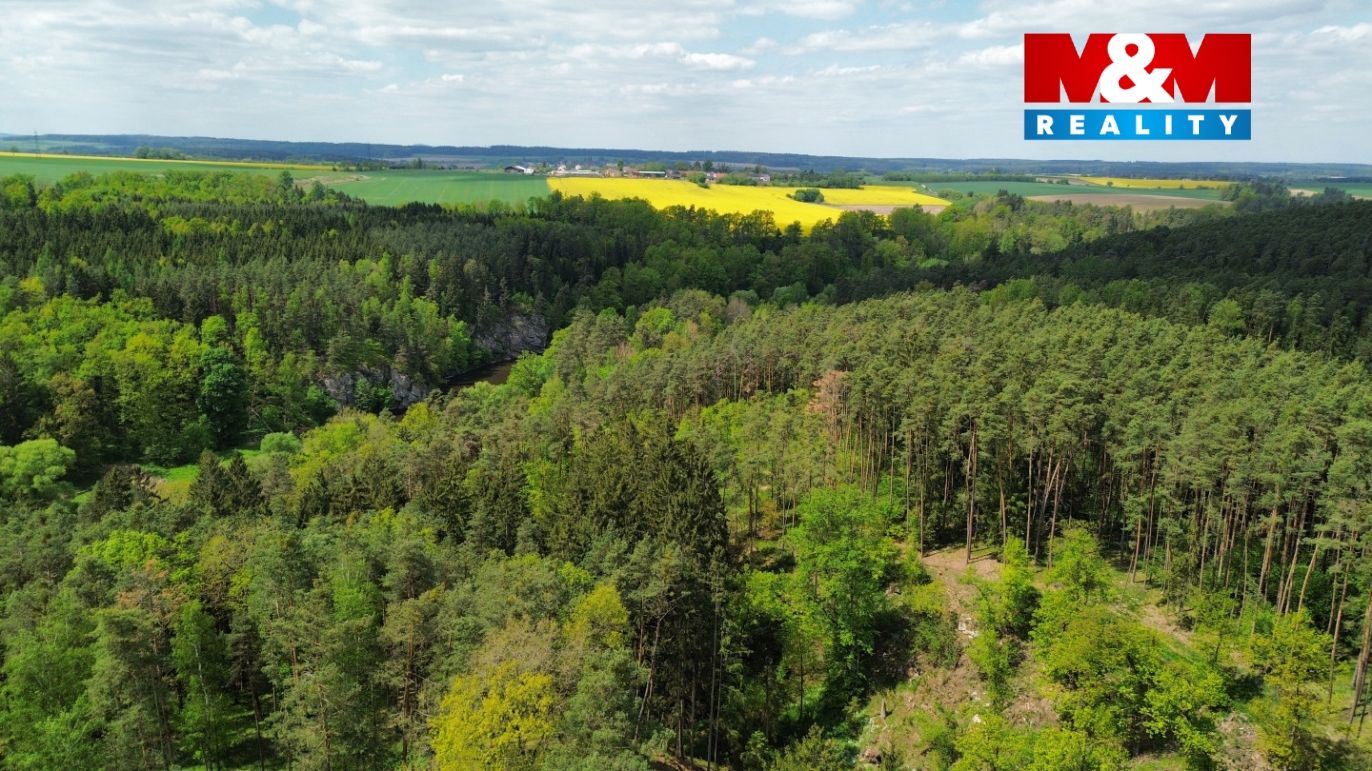 dji_fly_20250507_122736_427_1746614014495_photo_optimized.jpeg