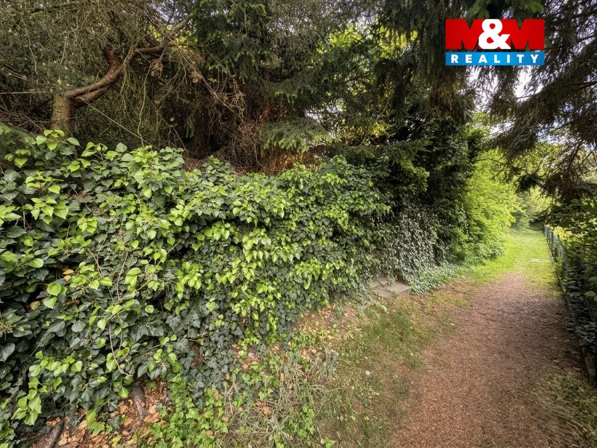 vstup