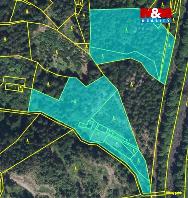 KM.jpg