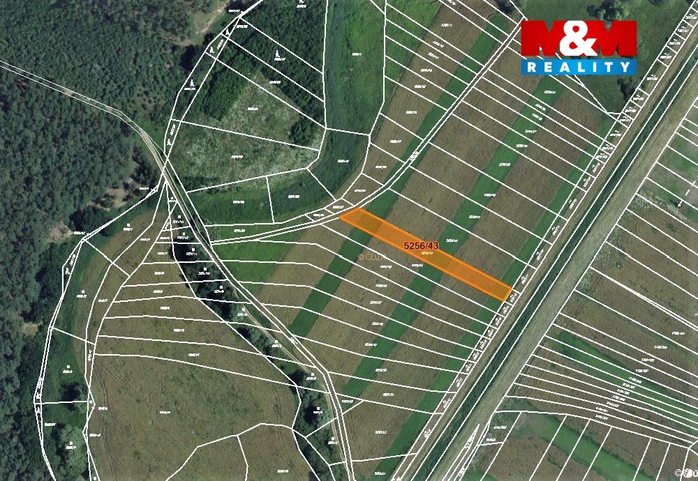 mapka