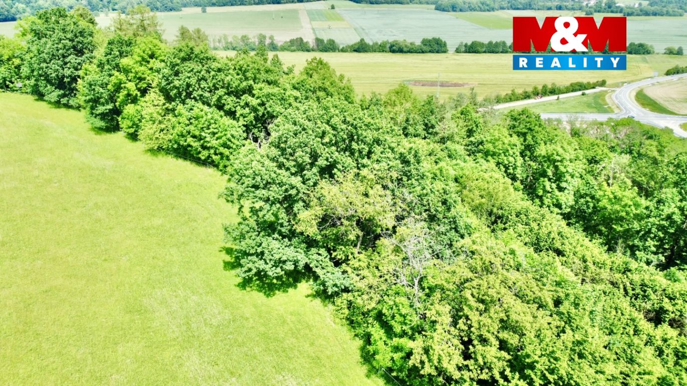 dji_fly_20240530_141626_342_1717071412553_photo_optimized.jpg