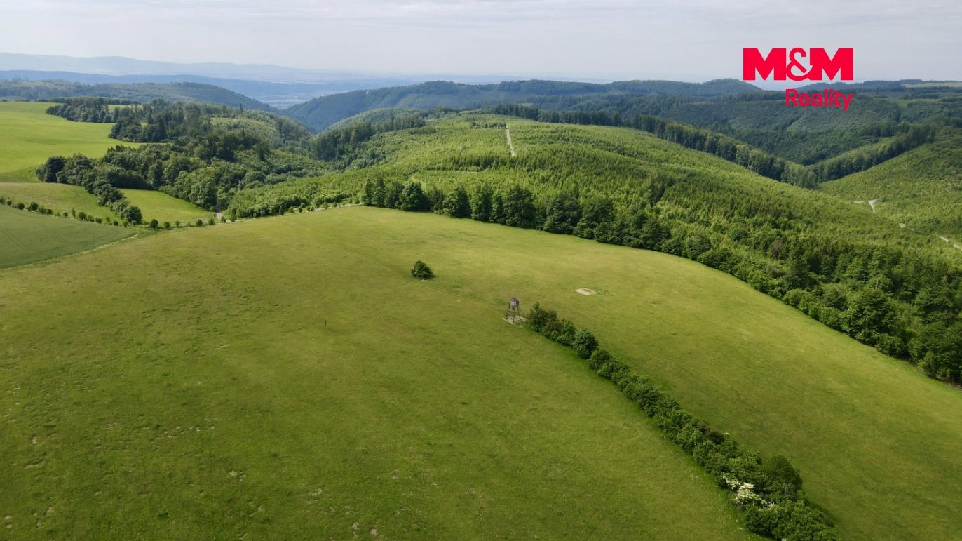 dji_fly_20260609_100218_857_1780992417473_photo.jpg