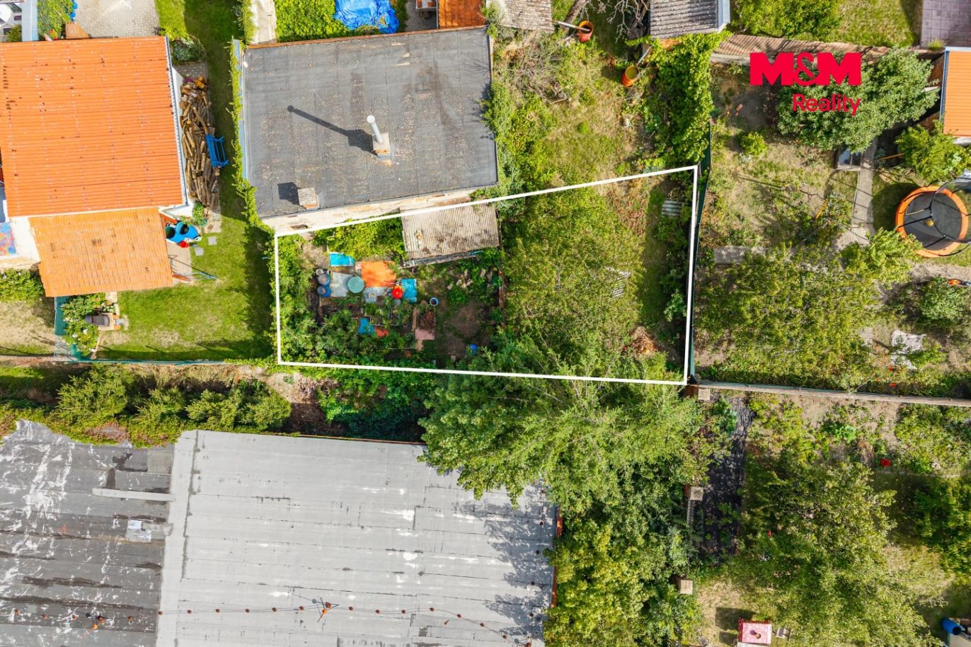 DJI_20260203044635_0009_D.jpg