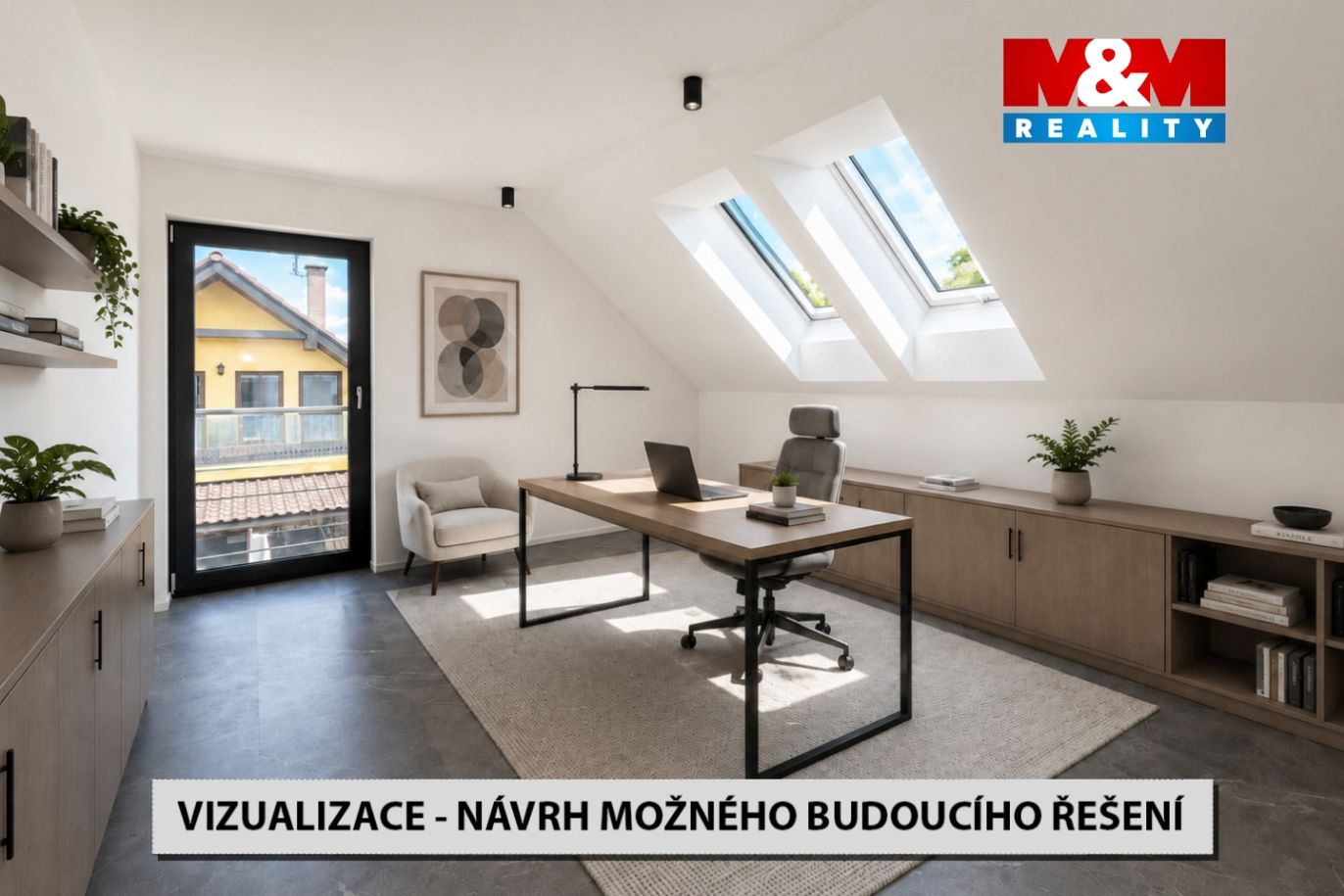 Pracovna VIZ kopie.jpg