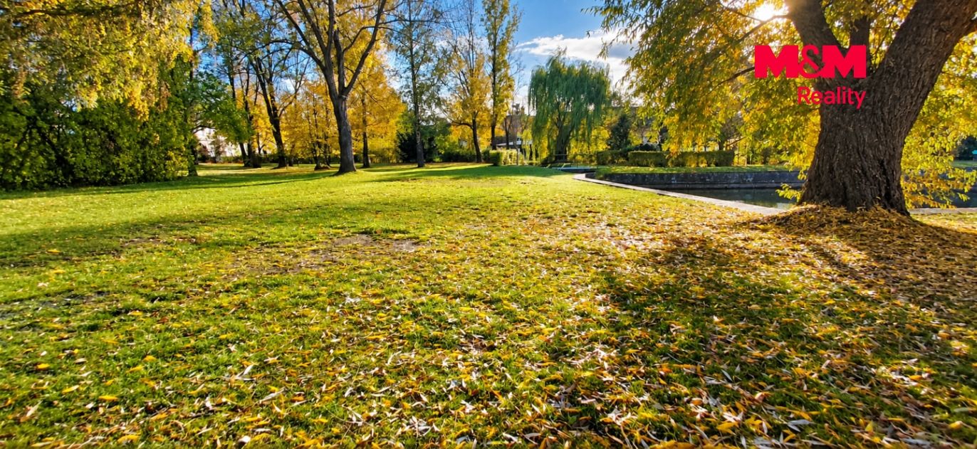Místní park