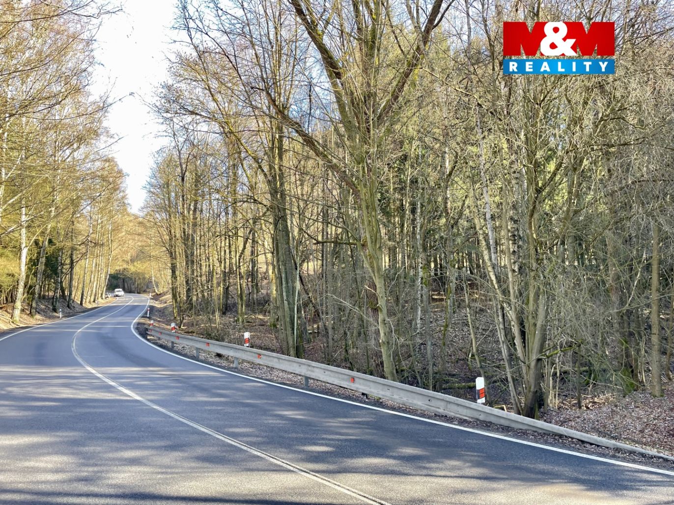 IMG_6139.jpeg