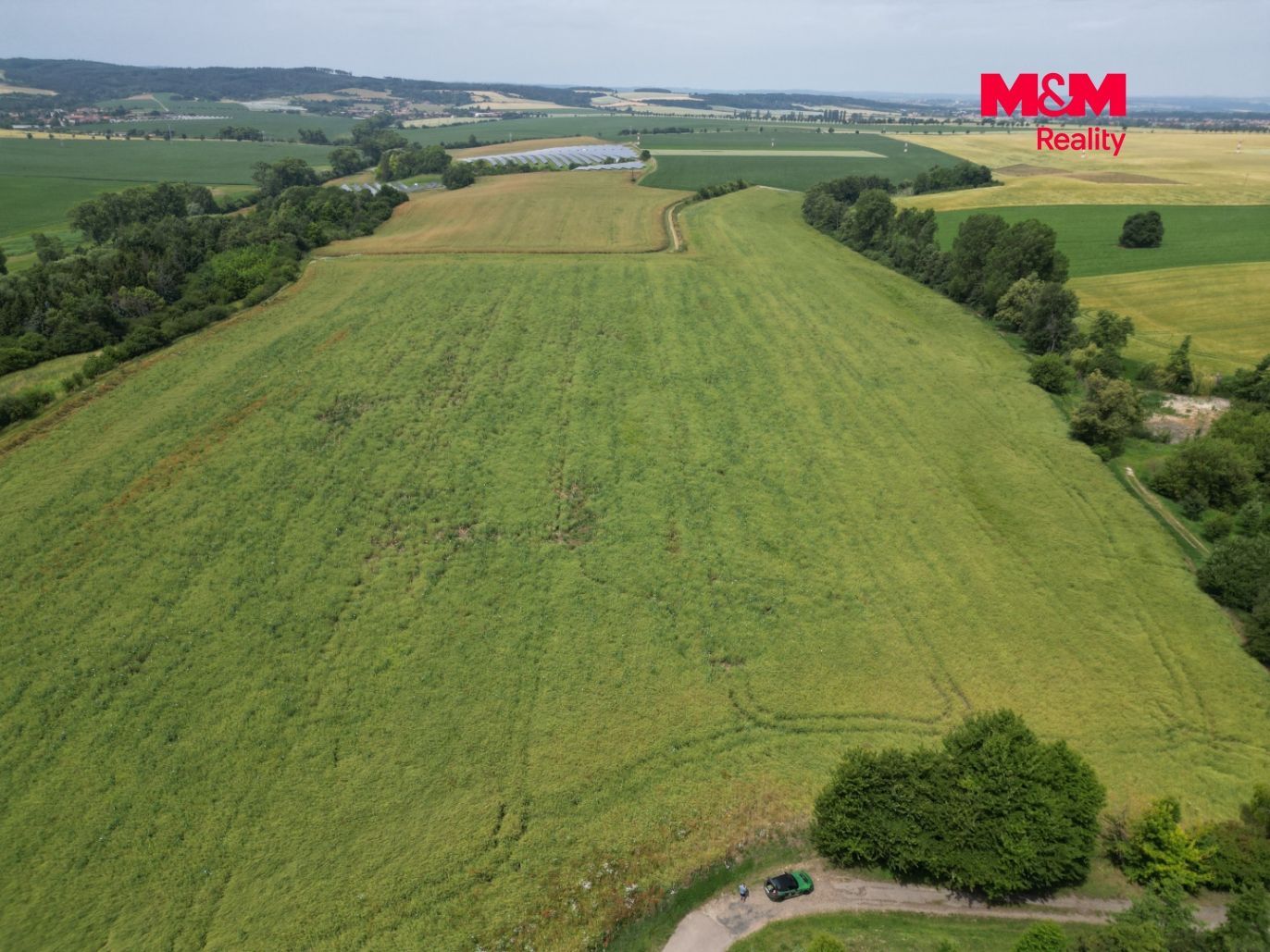 DJI_0565.jpg