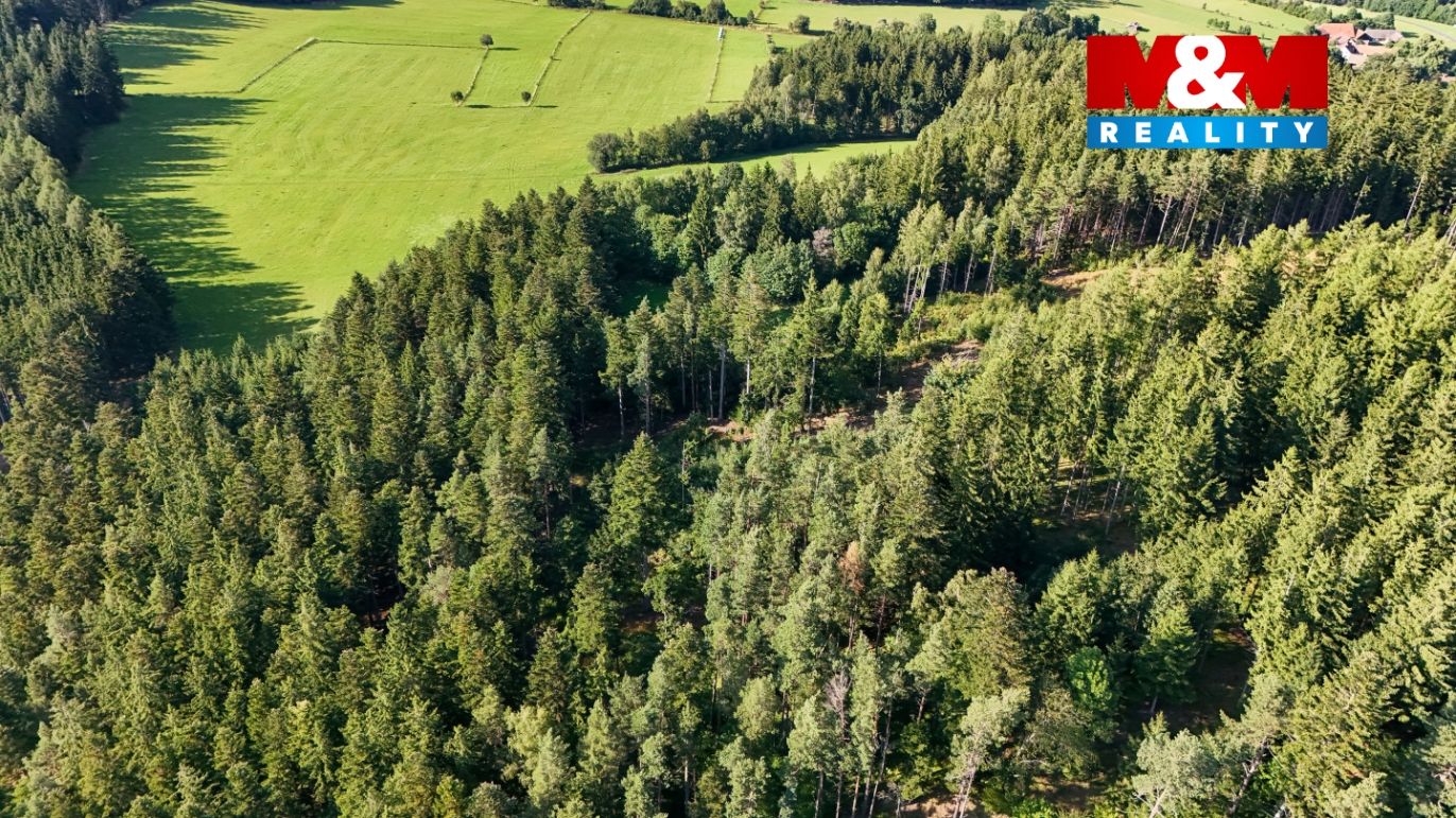 DJI_20250729175200_0195_D.jpg