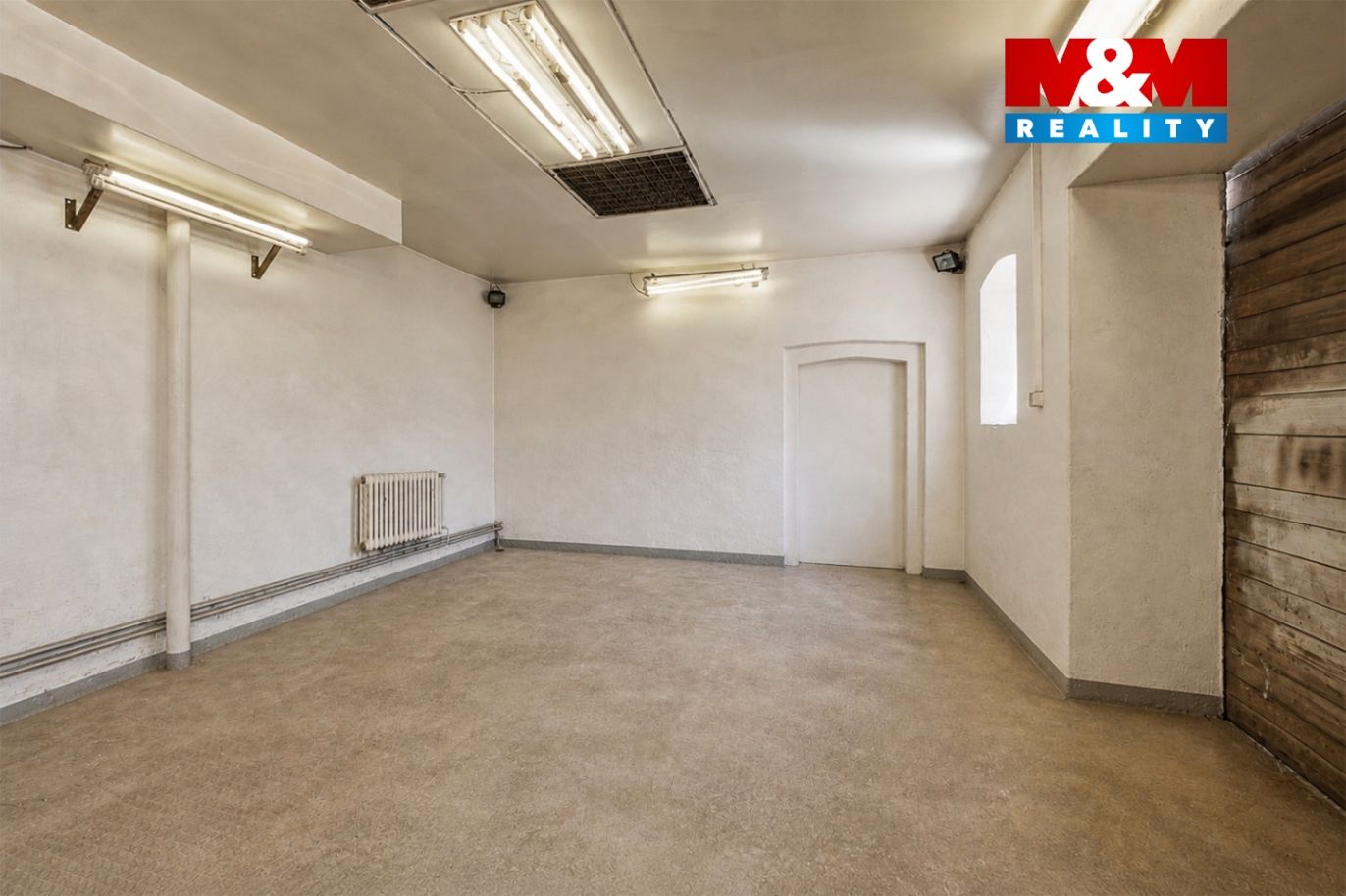 Realitni╠ü fotografie - Velte╠îz╠îe - Kla╠üra Pr╠îibi╠ükova╠ü - 4 - AI.jpg
