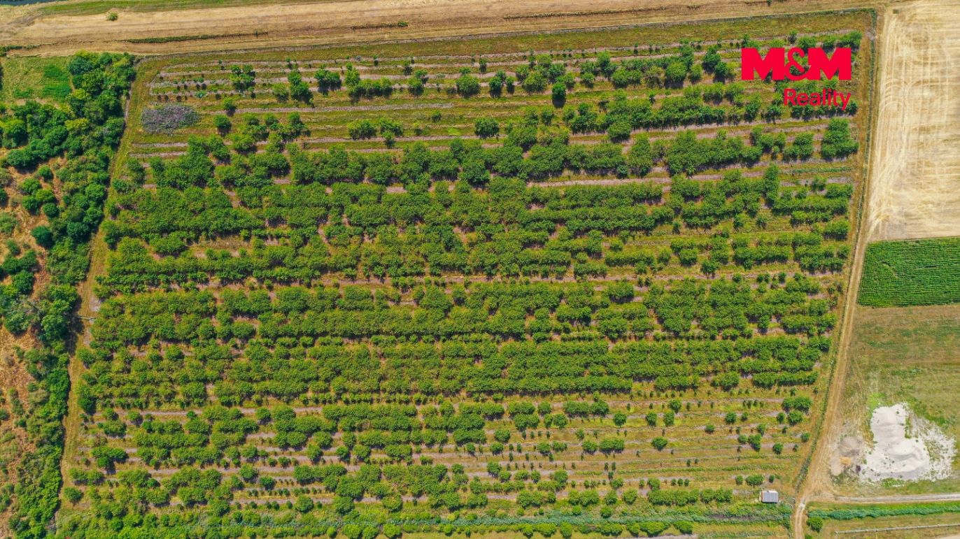 DJI_0912.jpg