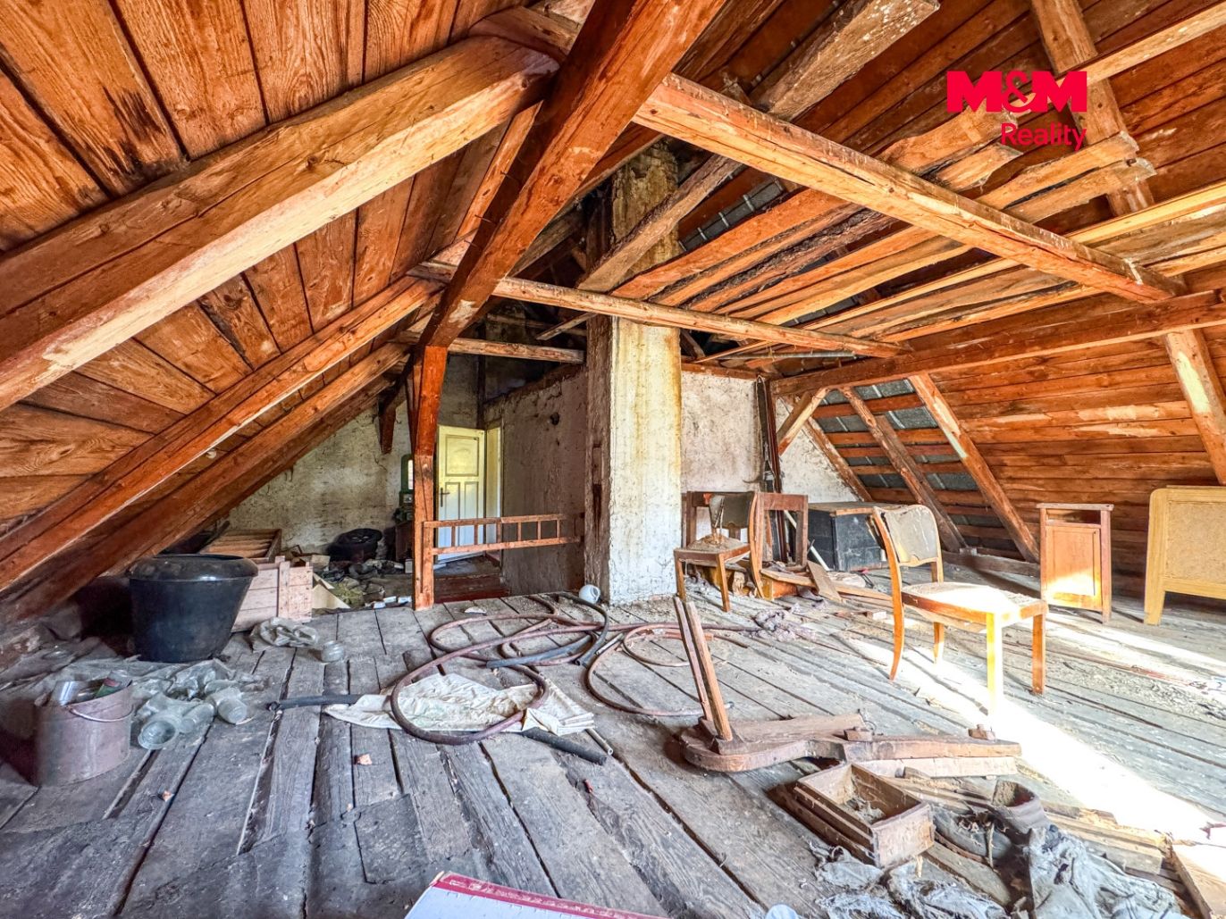IMG_8223.jpg