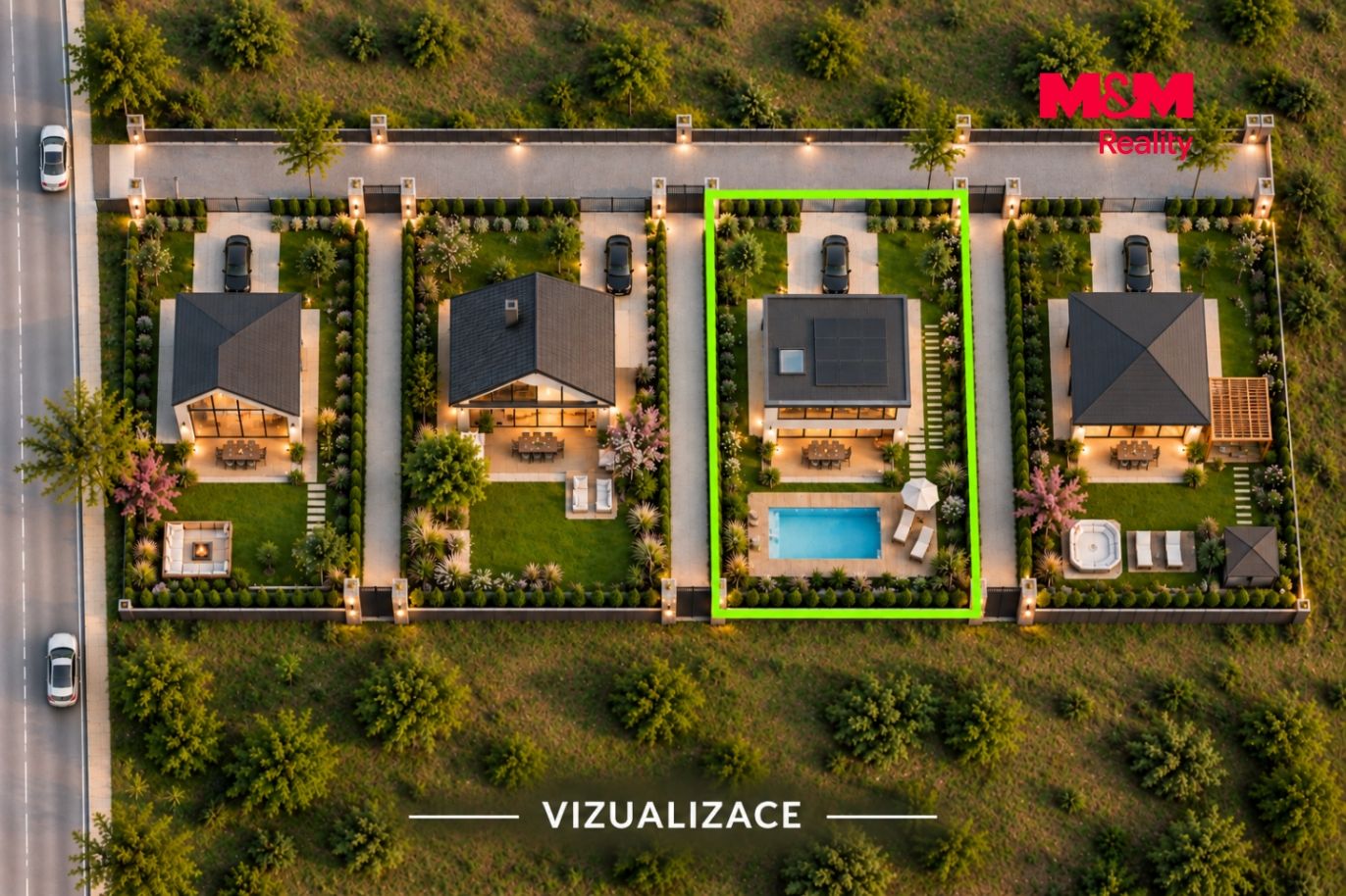 vizu final 3.png