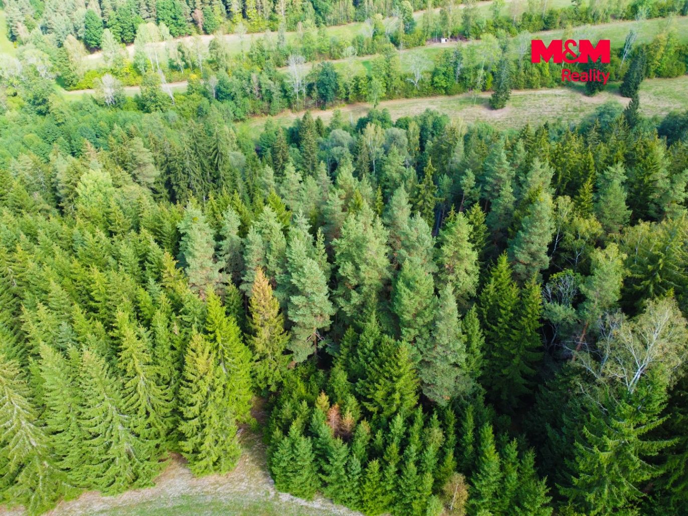 DJI_0243.jpeg