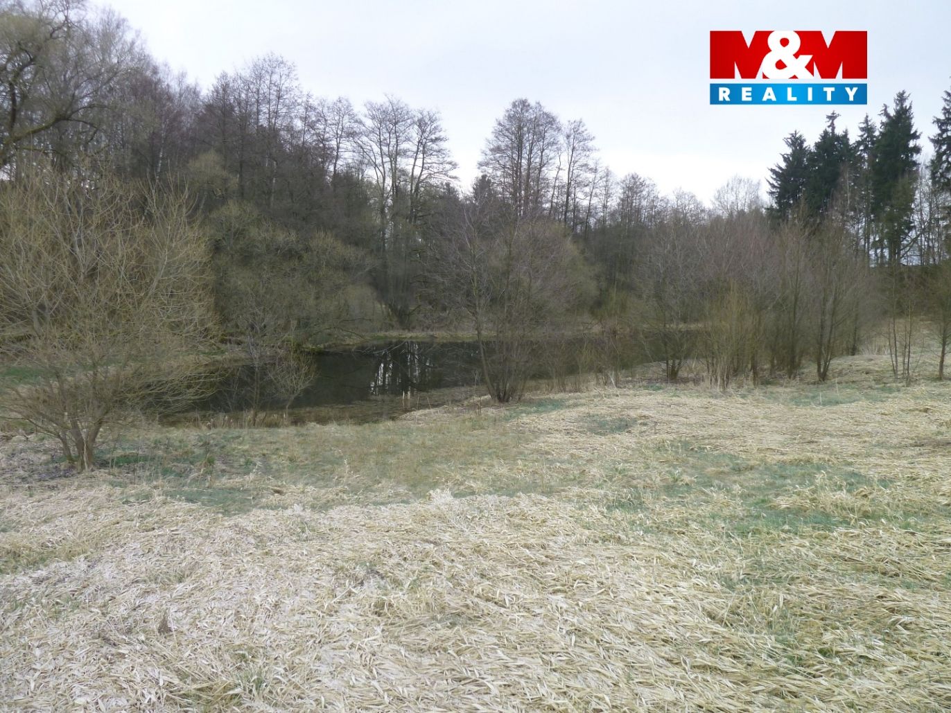 foto 2.jpg