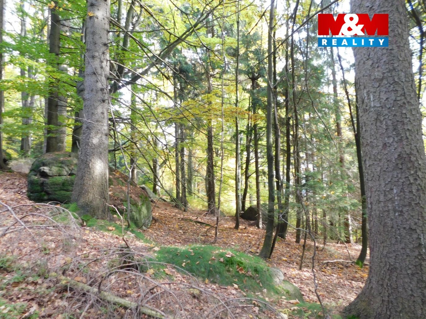 DSCN3768.jpg