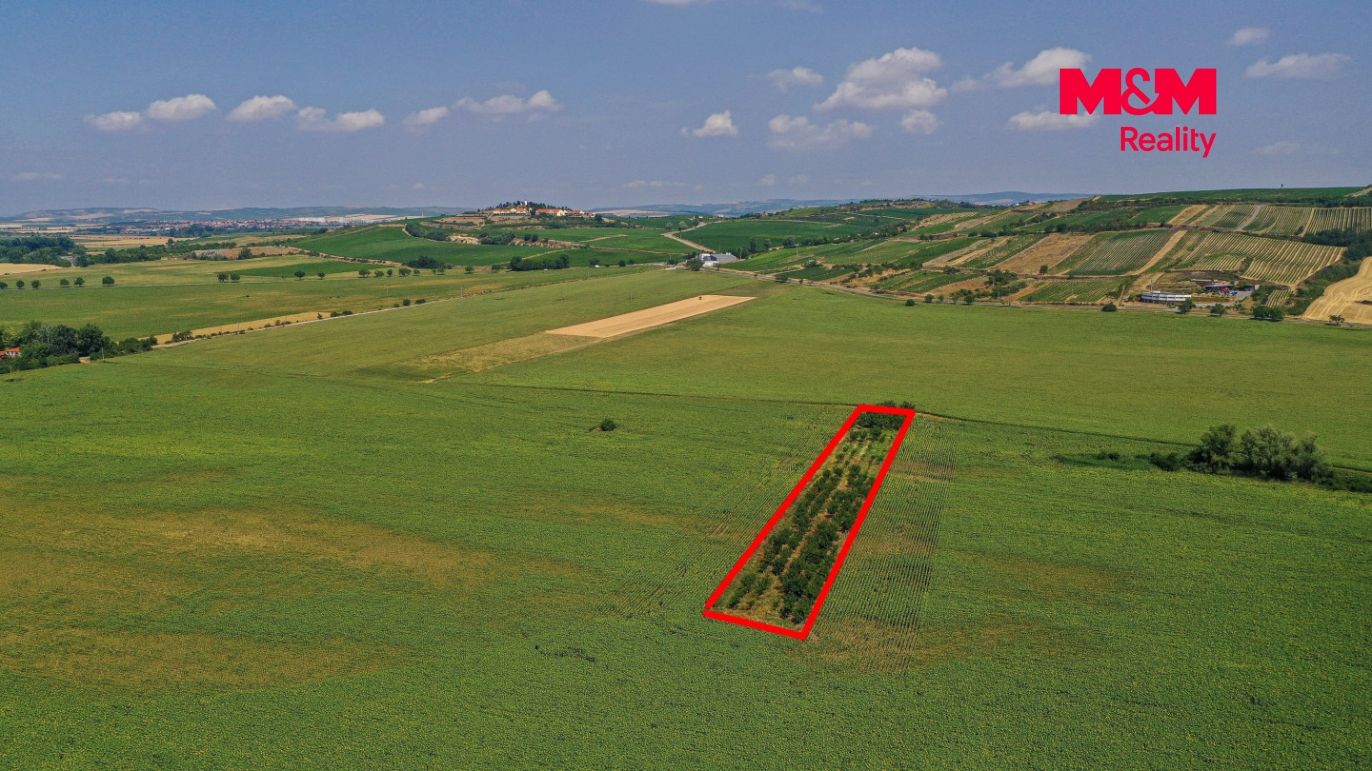 DJI_0959 kopie.jpg