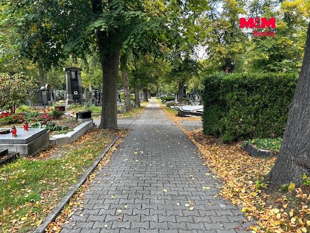 foto 18.jpg