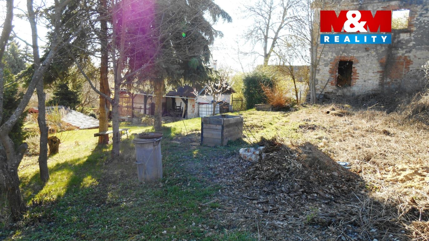kalo7.jpg