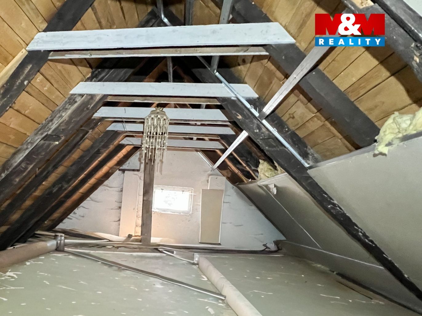 IMG_8797.jpeg