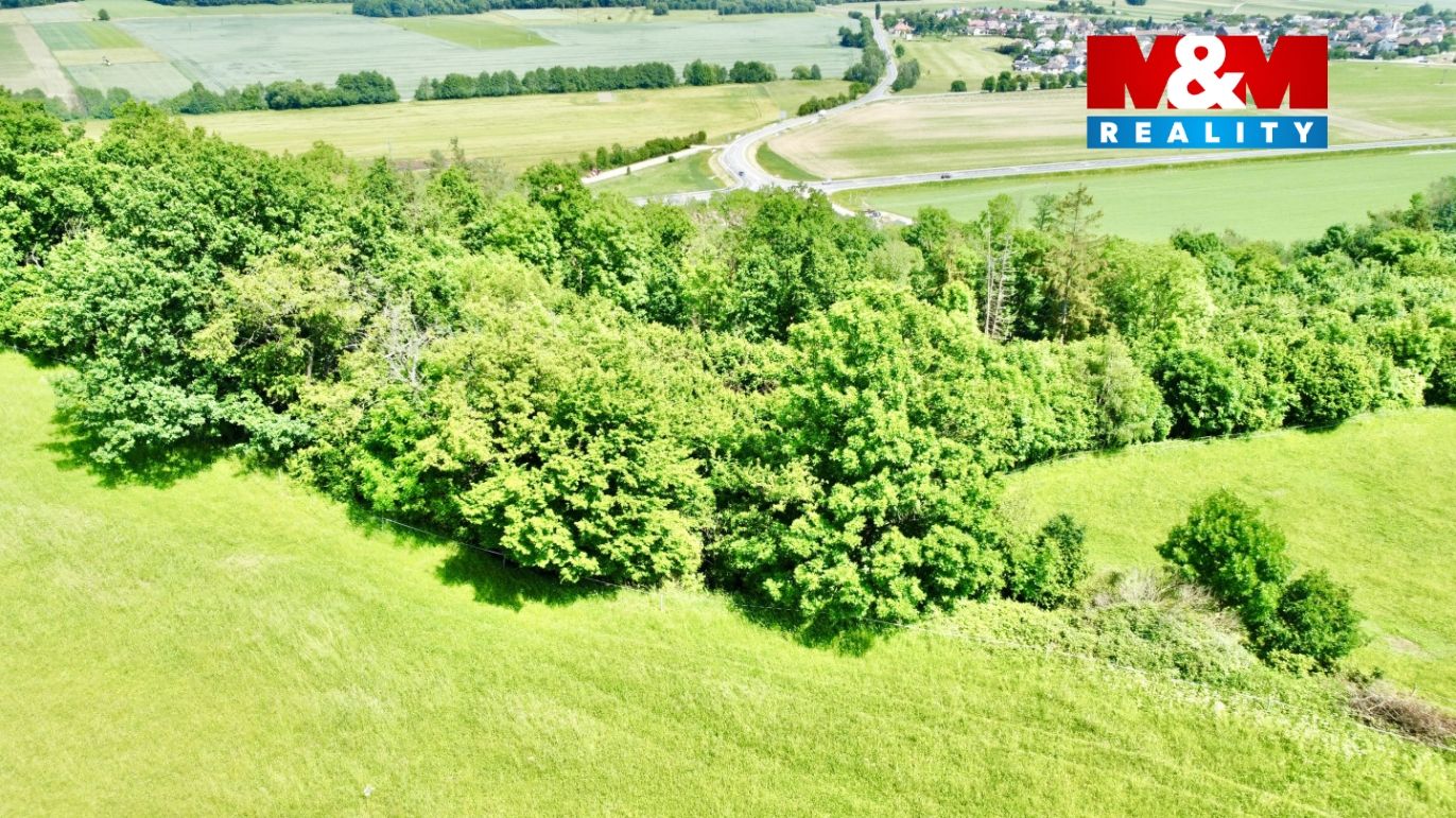 dji_fly_20240530_141600_339_1717071398790_photo_optimized.jpg