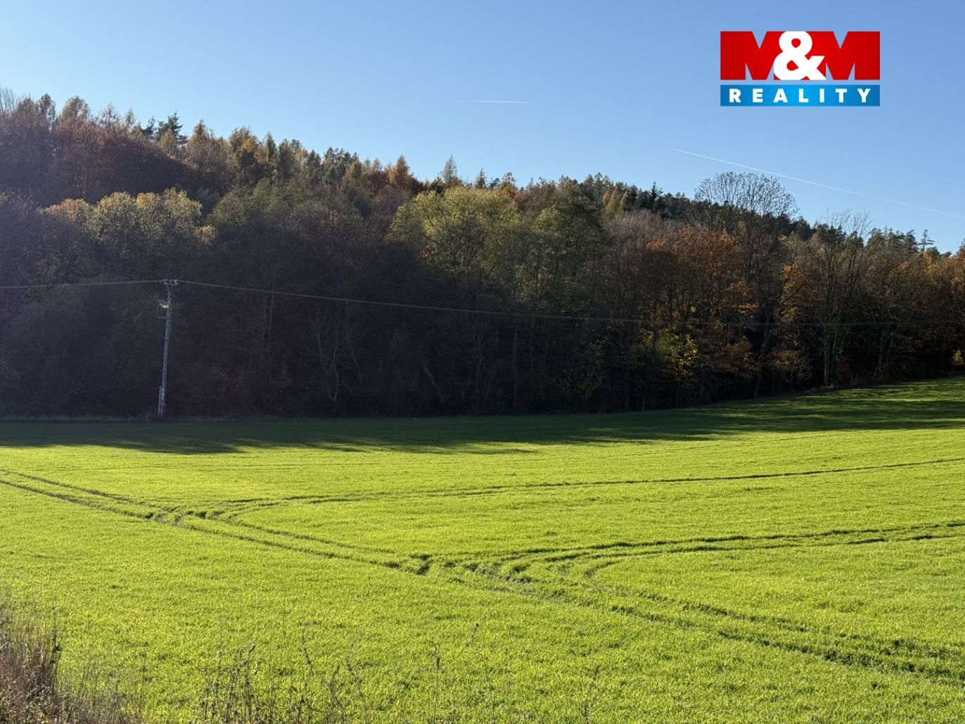 image_87961D05-5174-41D5-9889-831689CCBBCC_1763646275.jpeg
