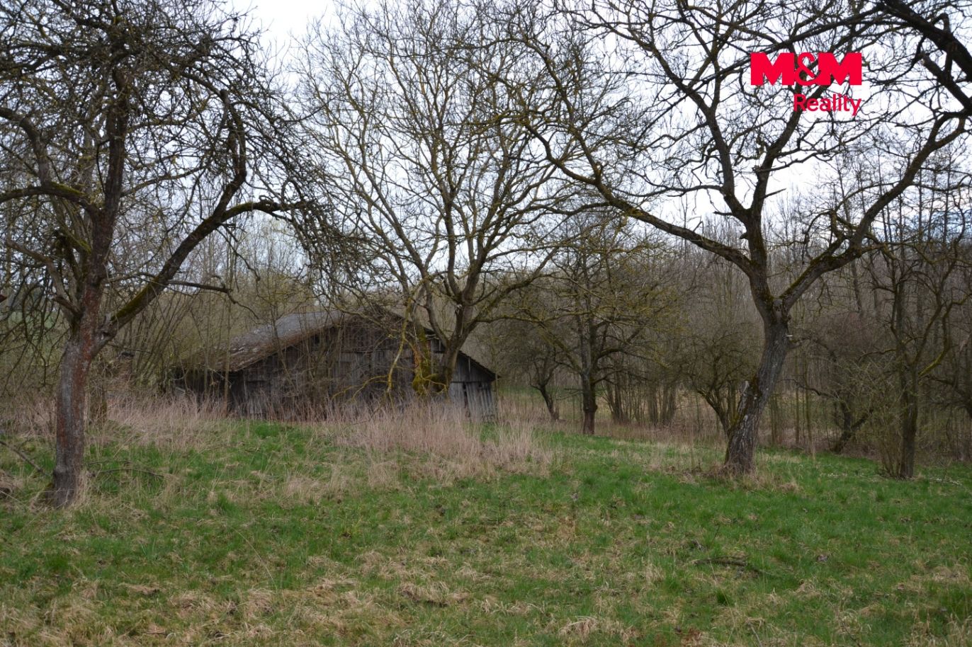 DSC_0212.jpg