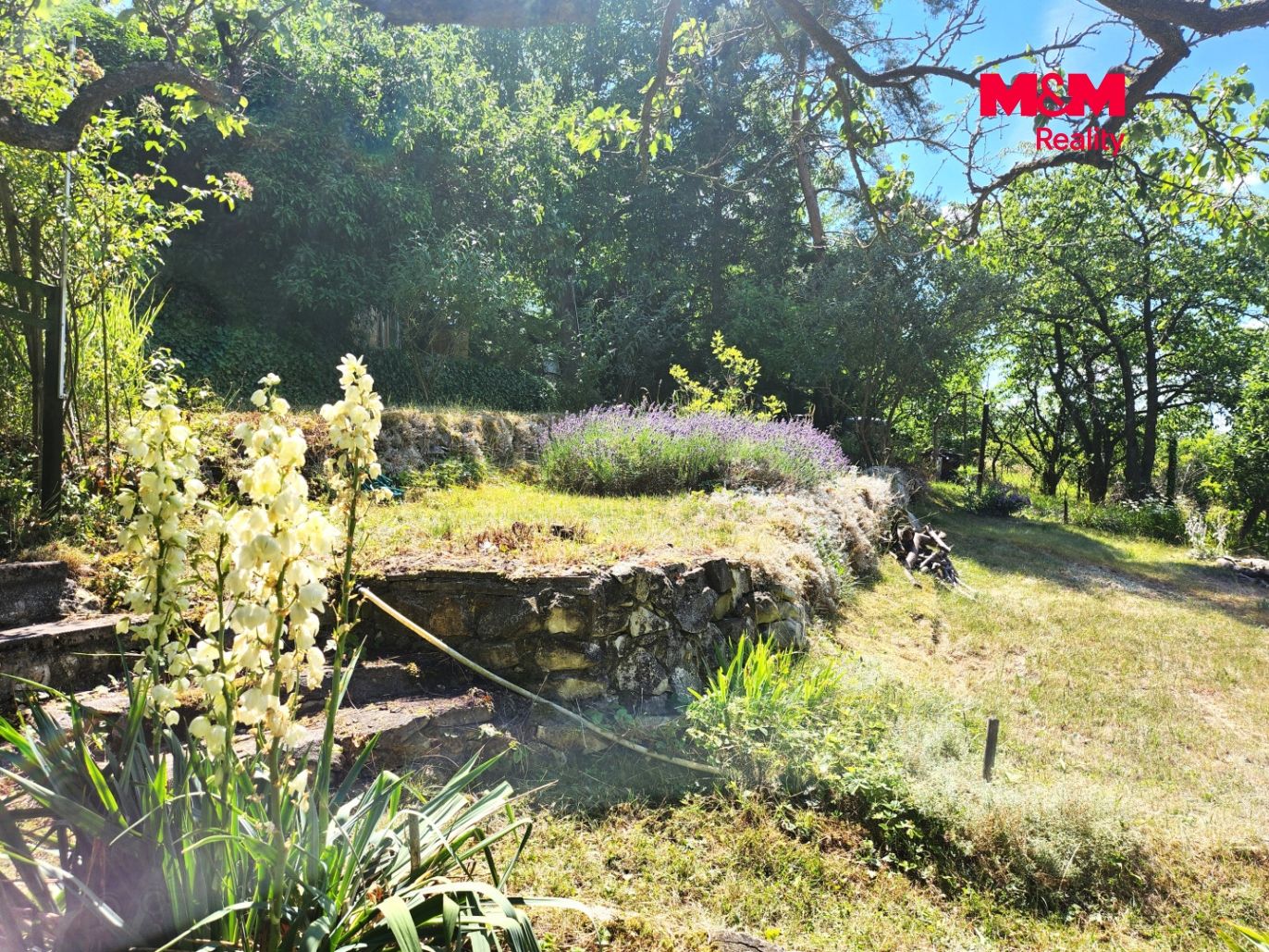 zahrada