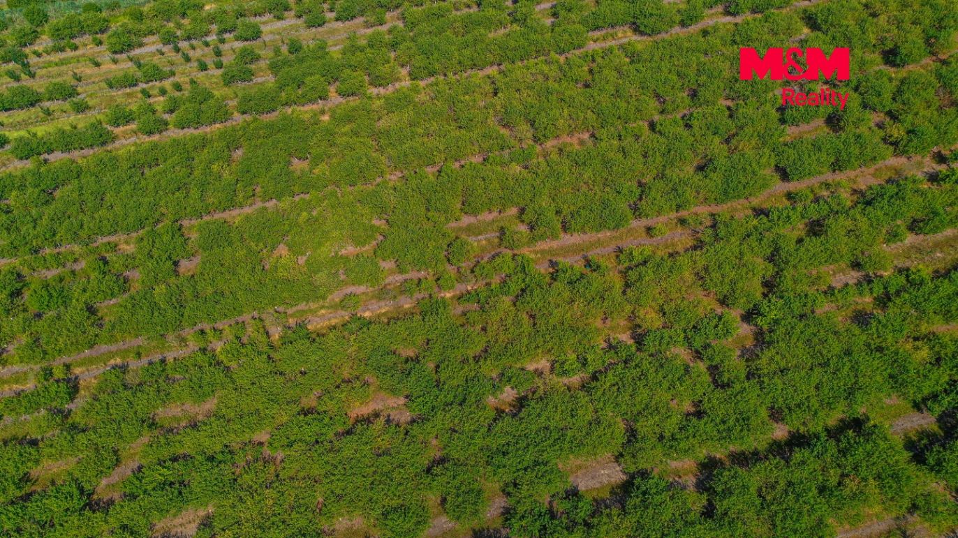 DJI_0934.jpg