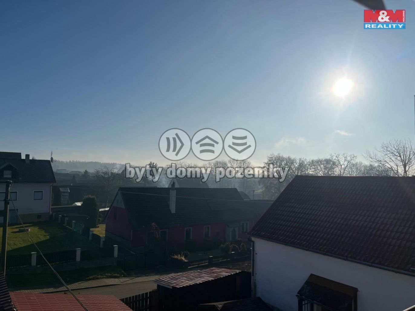 Řep15.jpeg