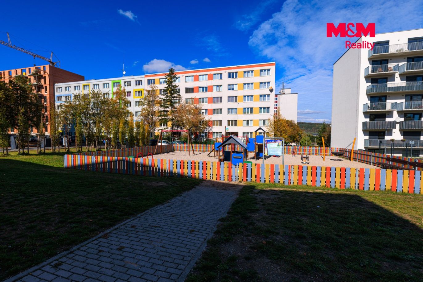 IMG_8666.jpg