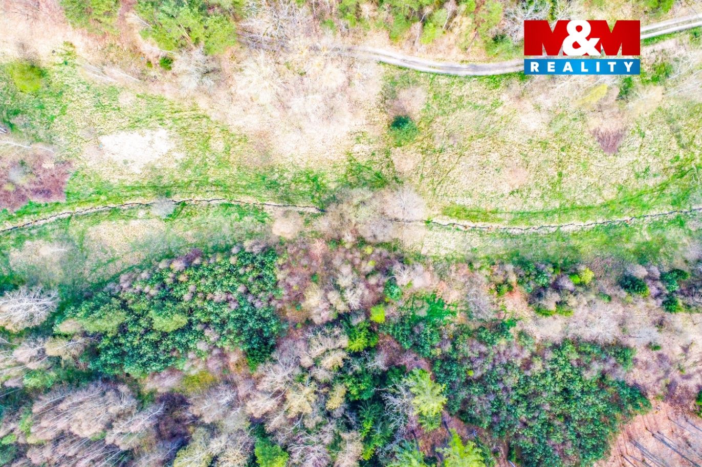 DJI_0613.jpg