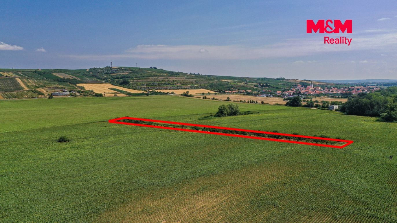 DJI_0941 kopie.jpg
