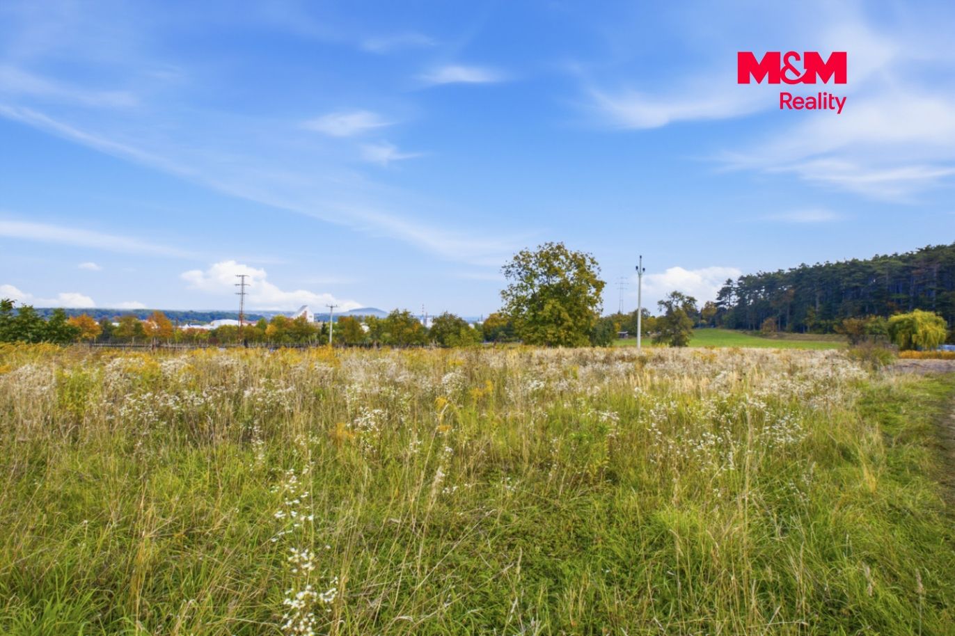 Realitni╠ü fotografie - Roudnice nad Labem - Jitka Gogolova╠ü - 1.jpg
