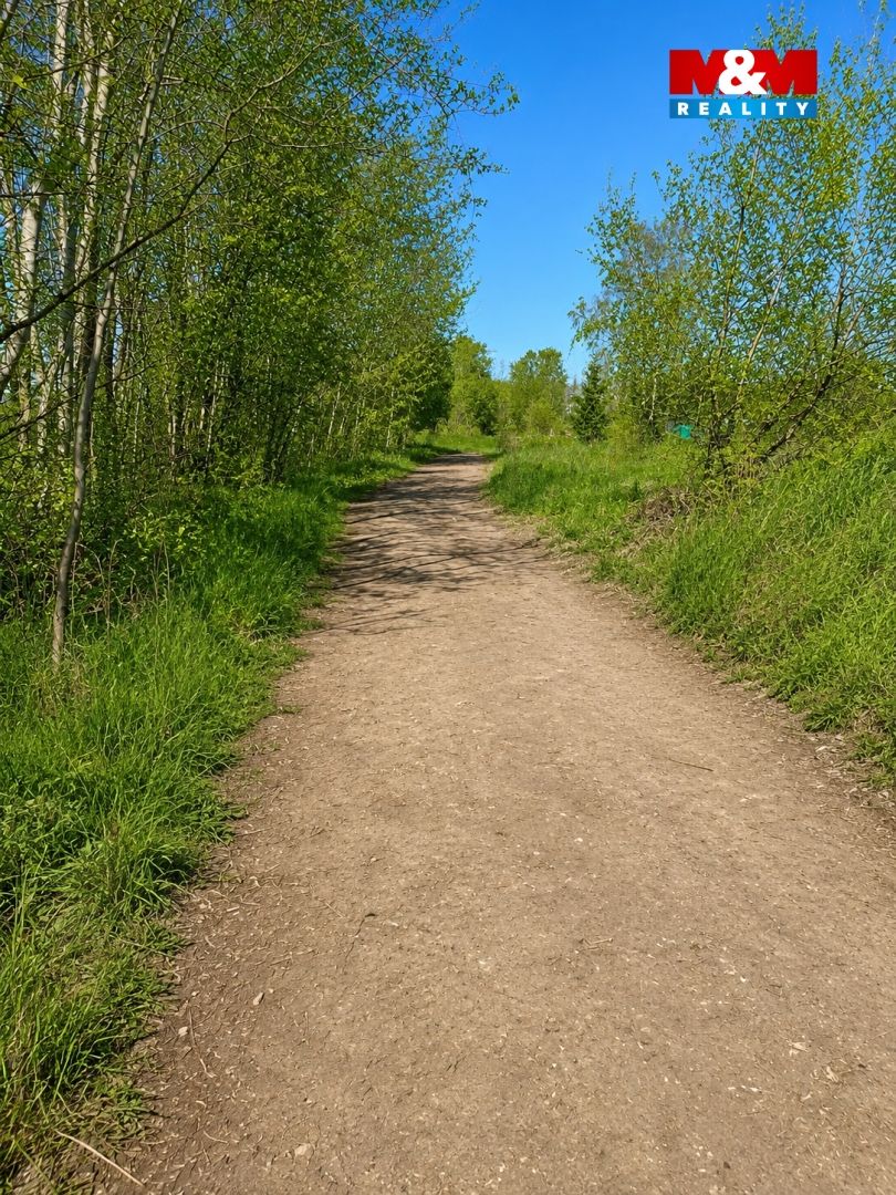 Příjezdová cesta 