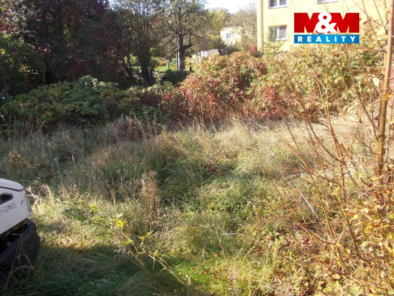 DSCN7561.jpg