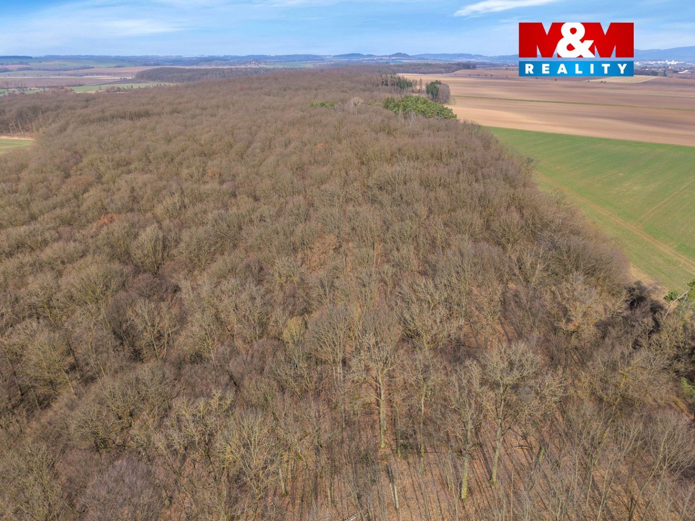 DJI_20260310101827_0100_D kopie.jpg